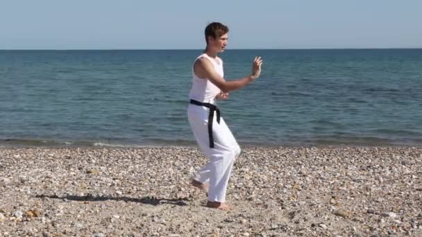 Teenage Boy Doing Karate Beach — Wideo stockowe