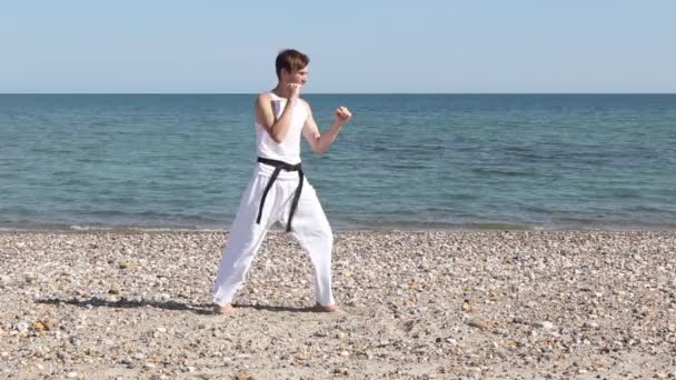 Teenage Boy Doing Karate Kicks Beach — Stok video