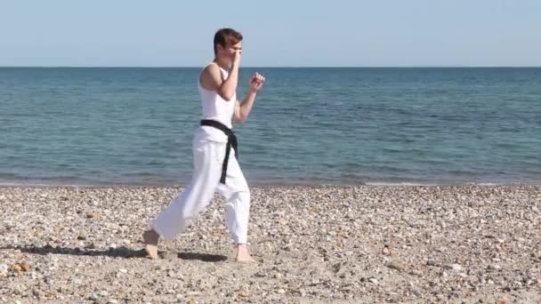 Teenage Boy Doing Karate Kicks Beach — Stock video
