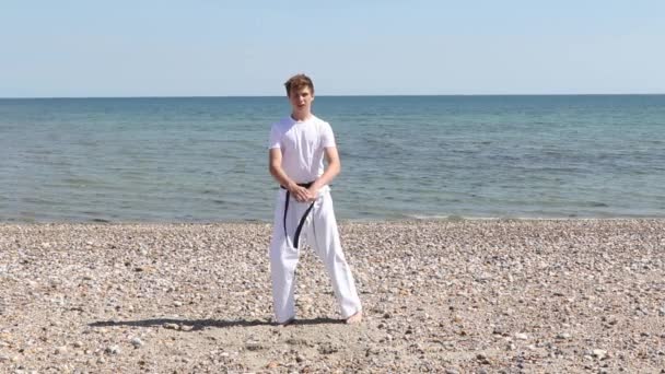 Teenage Boy Doing Karate Beach — 图库视频影像
