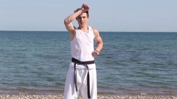 Teenage Boy Doing Karate Beach — Stockvideo