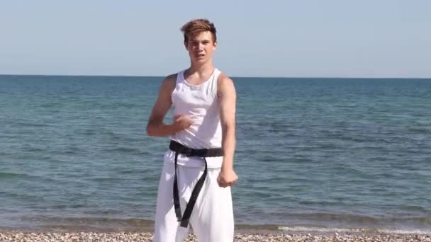 Teenage Boy Doing Karate Beach — Stockvideo