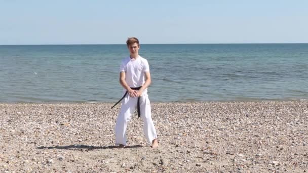 Teenage Boy Doing Karate Beach — Wideo stockowe