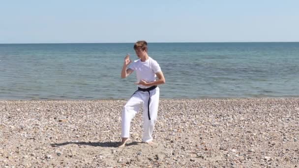 Teenage Boy Doing Karate Beach — Vídeos de Stock