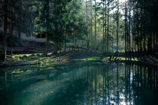 El concepto de un estilo de vida saludable es respirar aire fresco y limpio del bosque y disfrutar de la captura de los colores azules mágicos del agua al amanecer o al atardecer en un lago forestal como en Kirchheim Hesse Alemania —  Fotos de Stock