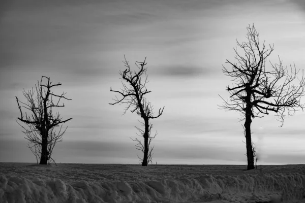 The main Christian holiday is Easter, the resurrection of the Lord Jesus Christ. Photos of three leafless trees with a dramatic sky at the top of Wasserkuppe Mountain in Hesse Germany resemble three — Stock Photo, Image