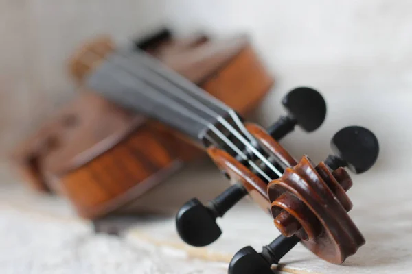 Violin Stringed Professional Musical Instrument High Quality Photo — Stock Photo, Image