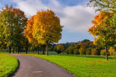Mavi, berrak gökyüzü, ender bulunan beyaz tüylü bulutlar bir tarla yolunun üzerinde birkaç ağaçla birlikte. Yüksek kalite fotoğraf