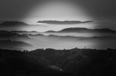 Mavi, berrak gökyüzü, ender bulunan beyaz tüylü bulutlar bir tarla yolunun üzerinde birkaç ağaçla birlikte. Yüksek kalite fotoğraf