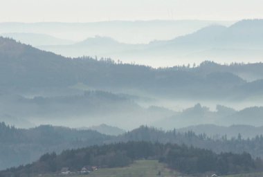 Mavi, berrak gökyüzü, ender bulunan beyaz tüylü bulutlar bir tarla yolunun üzerinde birkaç ağaçla birlikte. Yüksek kalite fotoğraf
