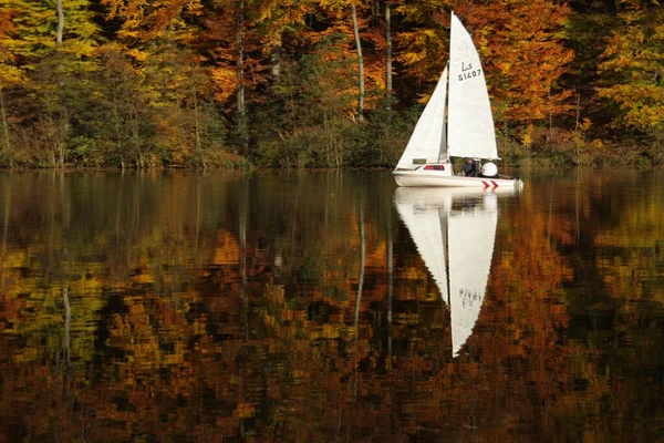 Velero Bosque Otoño Color Rojo Amarillo Verde Reflejan Superficie Del —  Fotos de Stock