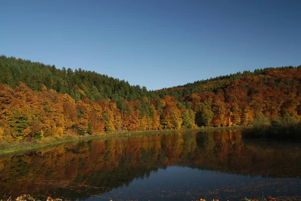 Синее Небо Осенний Лес Красных Желтых Зеленых Осенних Красок Отражаются — стоковое фото