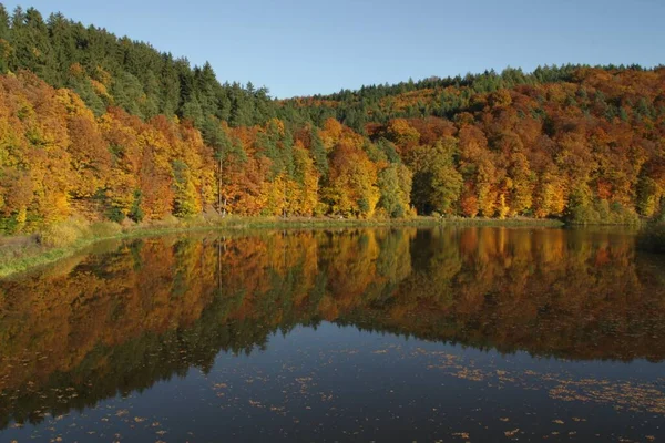 Синее Небо Осенний Лес Красных Желтых Зеленых Осенних Красок Отражаются — стоковое фото