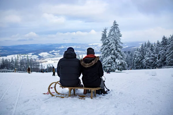 the backs of people sitting on a sled against the background of a snow-covered ski slope in winter. High quality photo