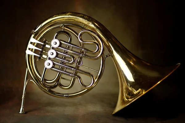 french horn an ancient musical metal instrument popular in classical brass music an instrument beloved by children and adults, amateurs and professionals. High quality photo