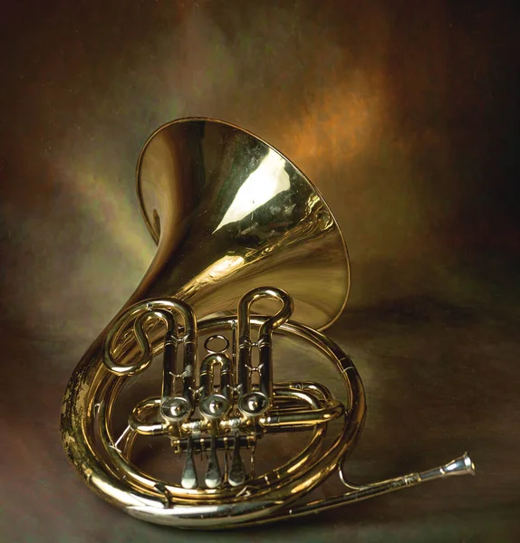 french horn an ancient musical metal instrument popular in classical brass music an instrument beloved by children and adults, amateurs and professionals. High quality photo