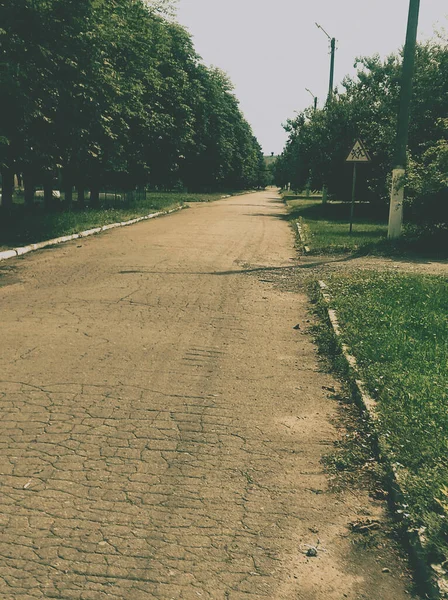 Parkta yolu olan asfalt bir yol.