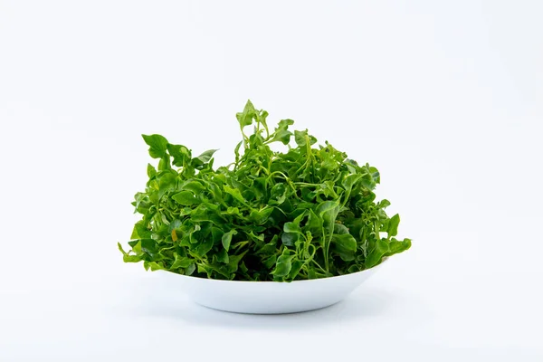 Tayland bitkisi Tayland yemeği yapmak için meşhur yemekler..