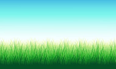 Green grass against the blue sky. For packaging design, background for website banners. Vector illustration.