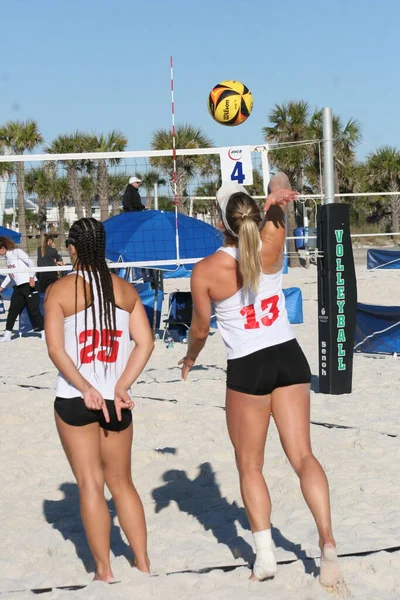 NCAA Kadınlar Plaj Voleybolu 