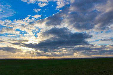  günbatımı yeşil alan