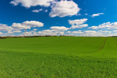 Ufukta iletişim direği olan yeşil yay alanı.