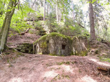 Ormanda gizlenmiş ikinci bir savaş sığınağı. Çek Cumhuriyeti.