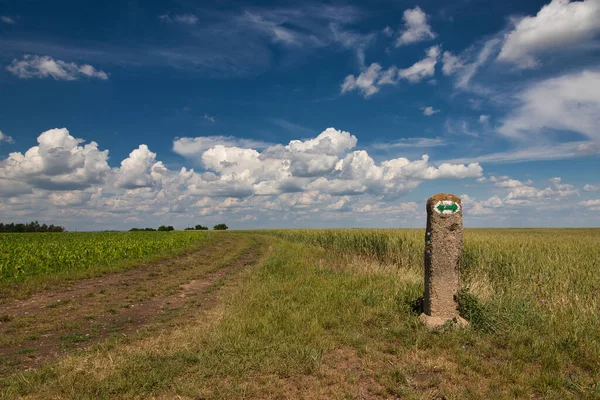 A signpost with green arrow, two ways between fields.
