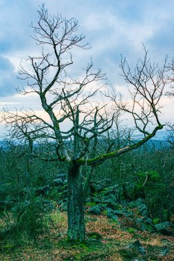 view, Bl k, Çek Cumhuriyeti, Lubenec
