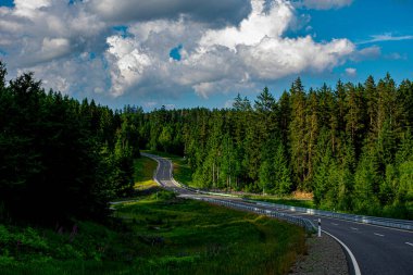 Almanya 'nın Flossenburg ormanındaki yol.