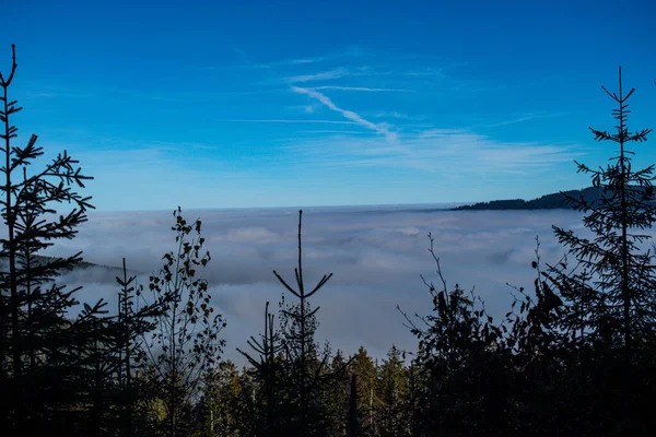 丘の上の霧 Statecek Hamry Czech Republic — ストック写真