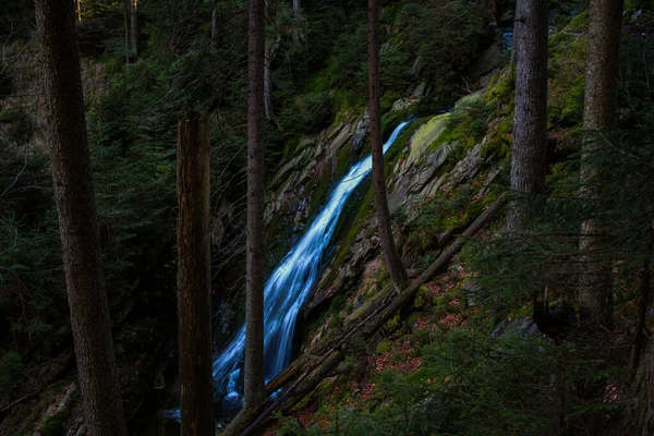 Водопад Лесу Белый Поток Сумава — стоковое фото