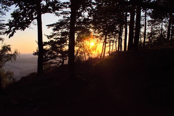 Dağlarda Gün Batımı Brdy Plesivec Jince — Stok fotoğraf