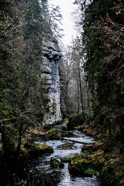 Fluss Wald Hrensko Tschechien — Stockfoto