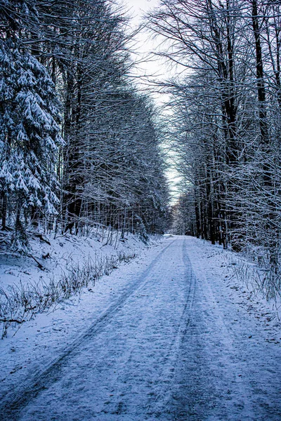 Estrada Floresta Inverno Cerchov — Fotografia de Stock