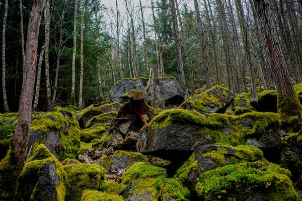 Moosbewachsene Felsen Lubenec — Stockfoto