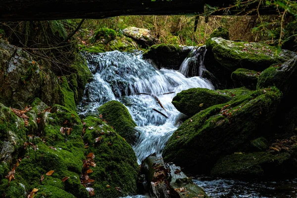 Cachoeira Floresta Bily Potok Sumava — Fotografia de Stock