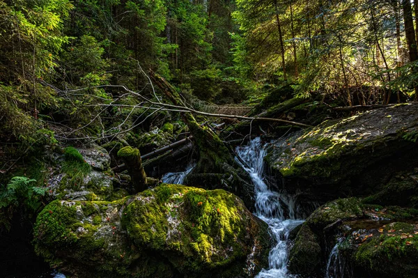 Wasserfall Wald Bily Potok Sumava — Stockfoto