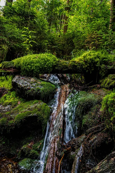 Cachoeira Floresta Bily Potok Sumava — Fotografia de Stock