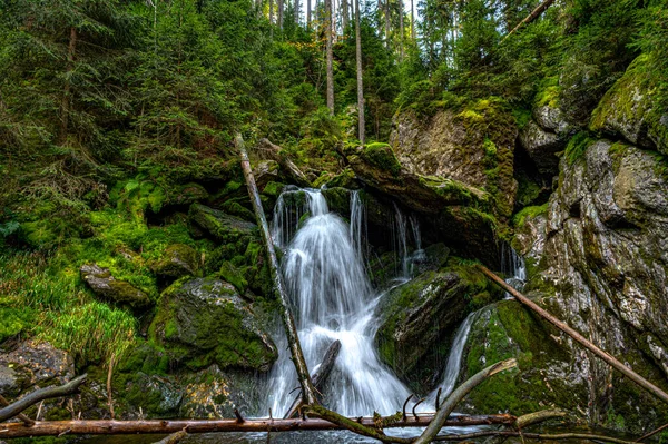 Cachoeira Floresta Bily Potok Sumava — Fotografia de Stock