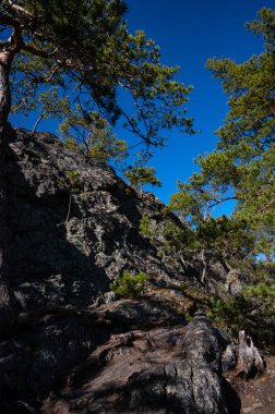 Dağa tırman, Vrani skala Zdice. Çekçe
