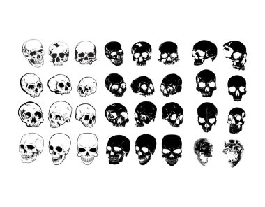 Beyaz arkaplanda farklı şekillerde vektör kafatası seti. Dekorasyon ve tasarım çerçeveleri, kartlar, menüler, arka planlar ve monogramlar için farklı vektör unsurları. Klasik şablonlar. Eski model dizileri.