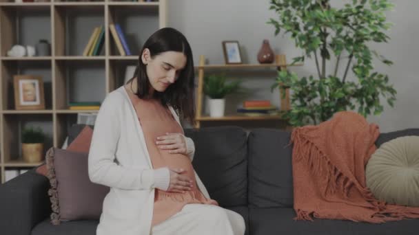 Retrato Una Hermosa Mujer Embarazada Sonriente Sentada Sofá Tocándose Suavemente — Vídeos de Stock