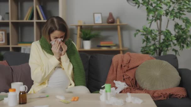 Femeia Gravidă Bolnavă Suflă Nasul Țesut Febră Timp Stă Canapea — Videoclip de stoc