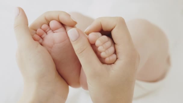 Маленькі Ноги Руках Матері Крихітні Новонароджені Немовлята Тримають Ноги Жіночих — стокове відео