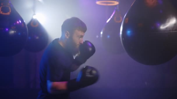 Boxeador Profesional Haciendo Ejercicios Con Saco Boxeo Fondo Del Gimnasio — Vídeos de Stock