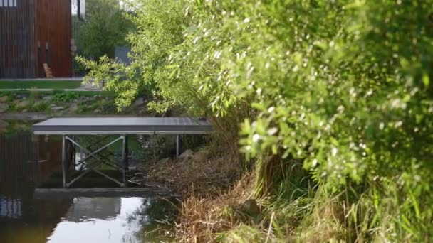 Padre Figlio Vanno Molo Mattino Sul Lago Locale Pescare Insieme — Video Stock