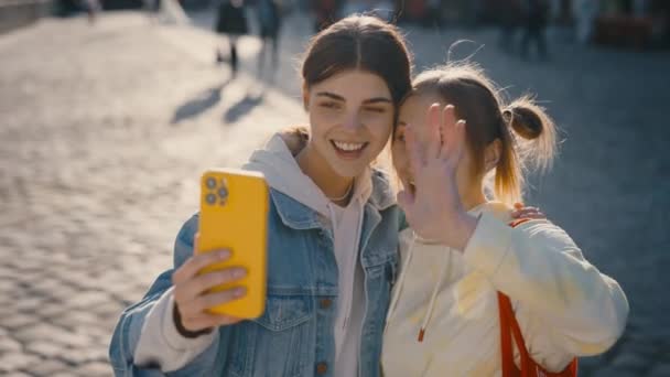 Jovem Casal Lésbico Uma Videochamada Férias Lgbt Vídeo Família Conversando — Vídeo de Stock