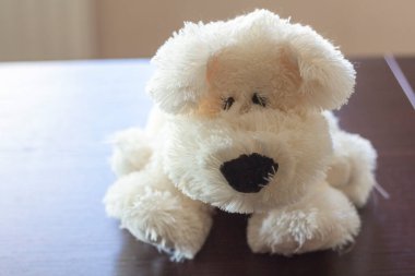 Masanın üzerinde duran beyaz oyuncak köpek