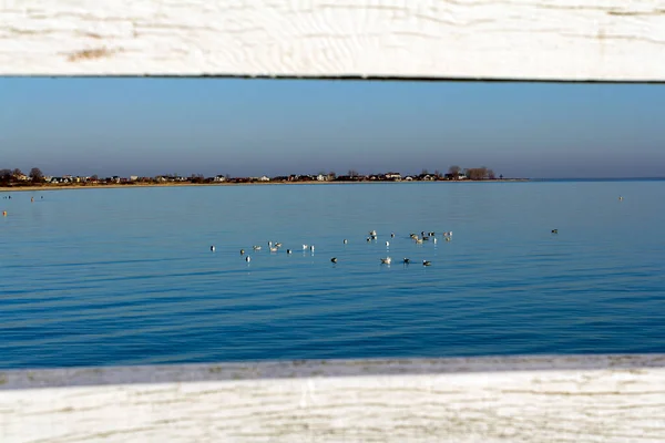 View Sea Coast Boards Pier — Stock Photo, Image